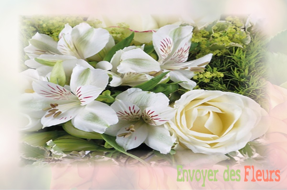 envoyer des fleurs à à ASNIERES-EN-BESSIN